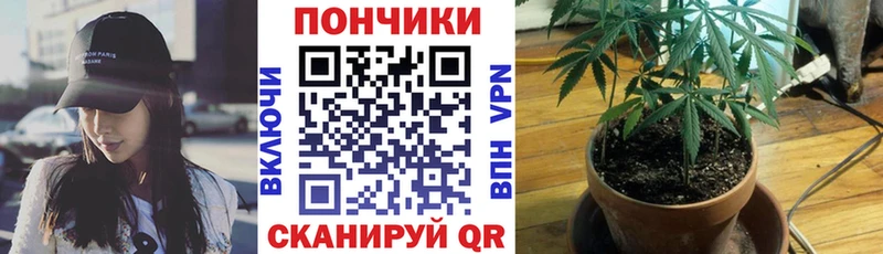 Шишки марихуана Ganja  где продают наркотики  Алдан 